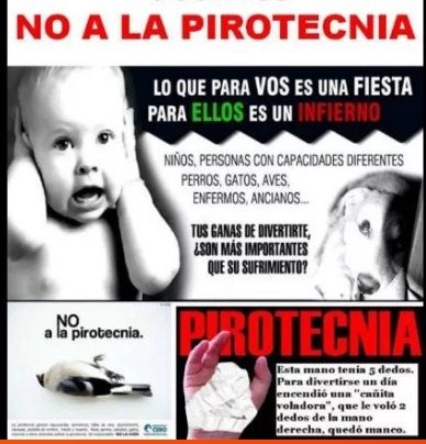 Lee más sobre el artículo “En Pinamar está prohibida la venta y uso de pirotecnia” – Concejal Alejandra Apolonio
