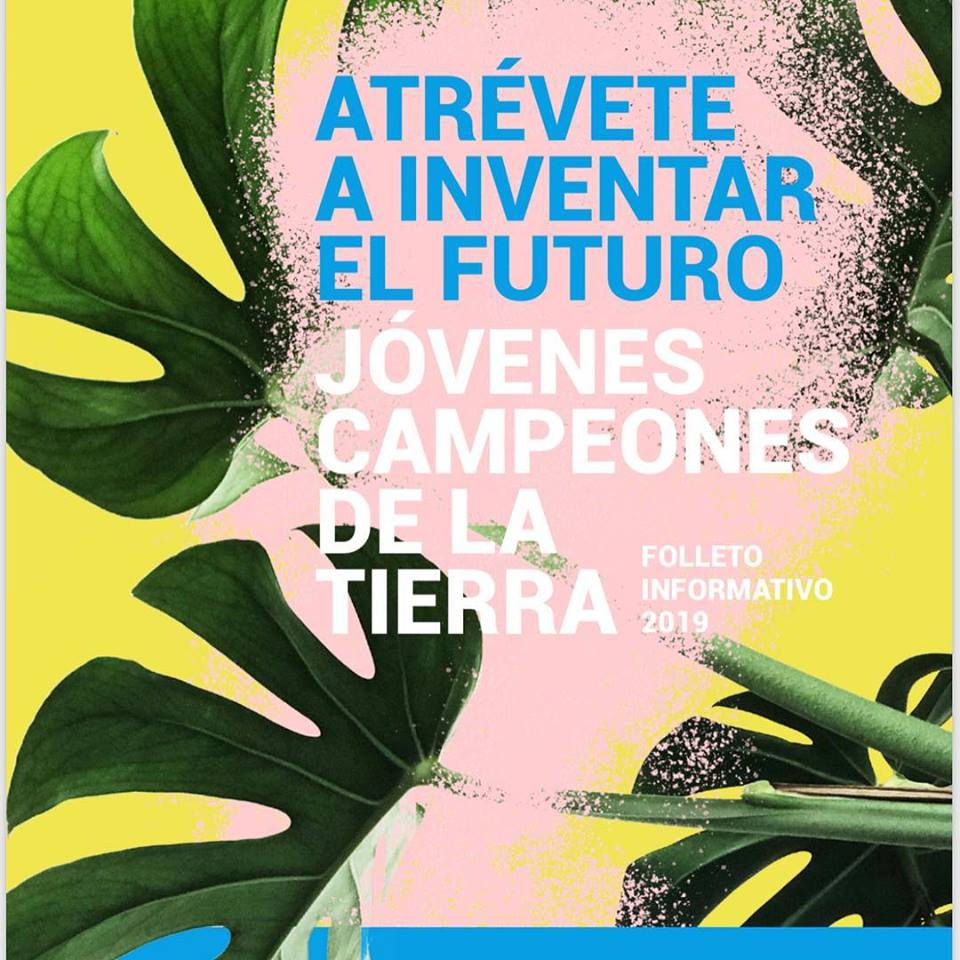 En este momento estás viendo Pinamarenses en la ONU – “Fuimos reconocidos como una ciudad que cuida el medio ambiente”