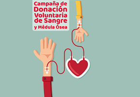 En este momento estás viendo Campaña de Donación de Sangre en UADE Costa – Viernes 5/4 – Fernanda Grimaldi