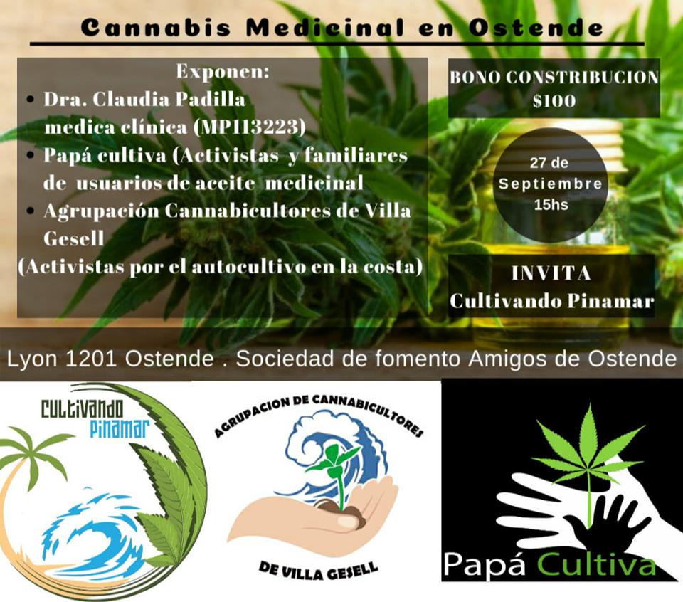 En este momento estás viendo Charla Informativa Sobre Cannabis Medicinal