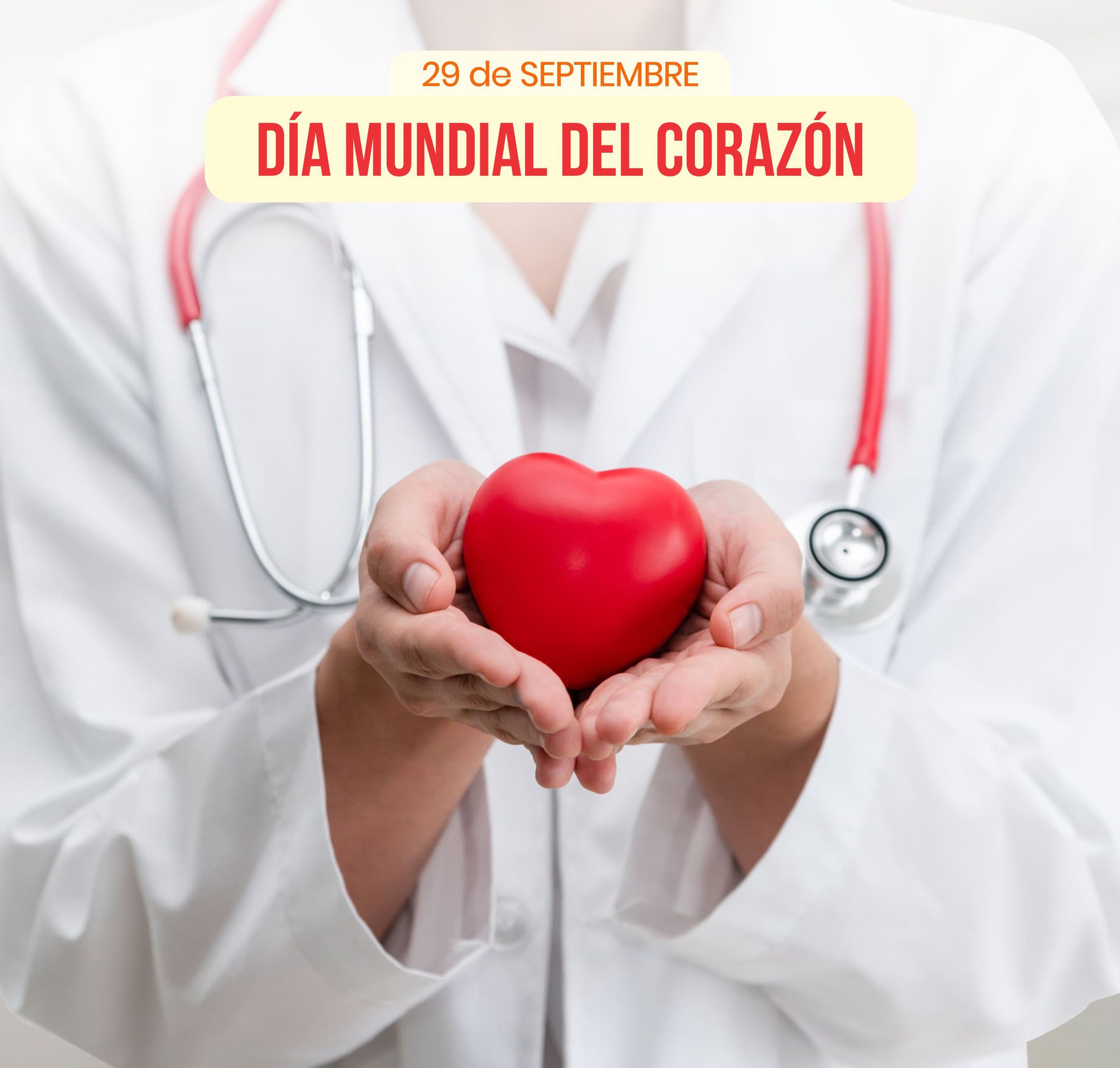 En este momento estás viendo DÍA MUNDIAL DEL CORAZÓN – Un órgano que se afecta por lo físico, social y espiritual. Cómo cuidarlo